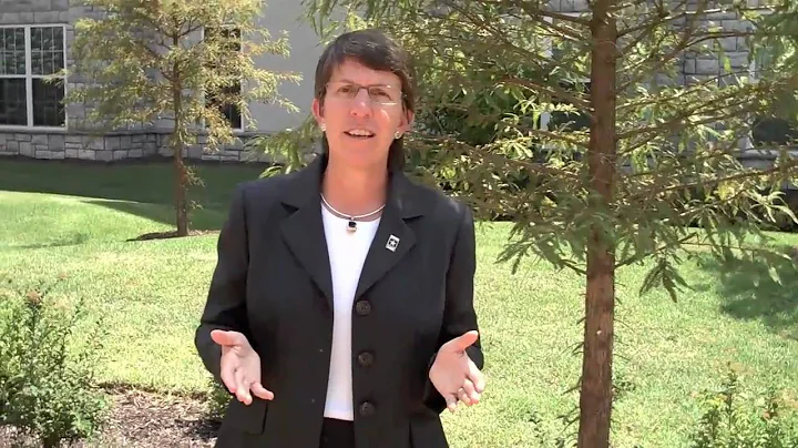 Interview with General Rebecca Halstead - Part IV ...