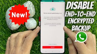 How to turn off end to end encrypted backup on WhatsApp