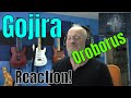 Gojira -  Oroborus  (Reaction)