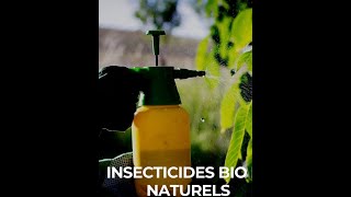 مبيدات الحشارات الطبيعية الأخرى         D’autres pesticides naturels