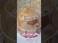 جنگلی تیتر اور کتے کا اپس میں پیار دیکھیں جنگلی تیتر اور کتے کا اپس میں پیار دیکھیں