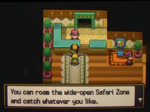 DS / DSi - Pokémon HeartGold / SoulSilver - Safari Zone Archway