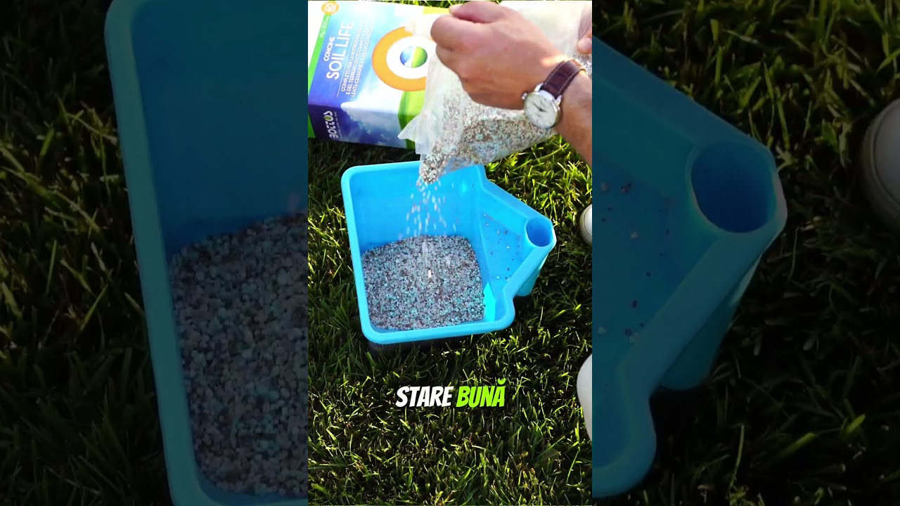 Îngrășământ profesional pentru gazon, perfect pentru toate anotimpurile!