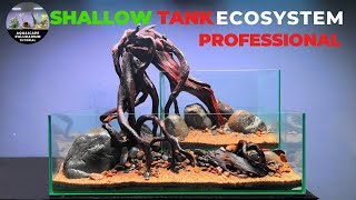 Making Shallow Tank Professional So Beautiful (Paludarium Tutorial) Part 1