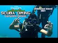 Scubadive at Nethrani island 2021|Murdeshwara|Karnataka|Best Scuba dive in Indian|Mangalore|Kannada