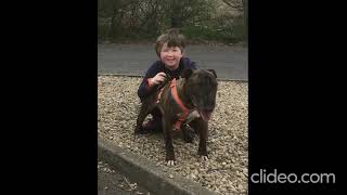 Canny-Bullies Social Run