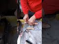 بطارخ السمك البوري 