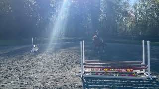 Flatwork Schooling