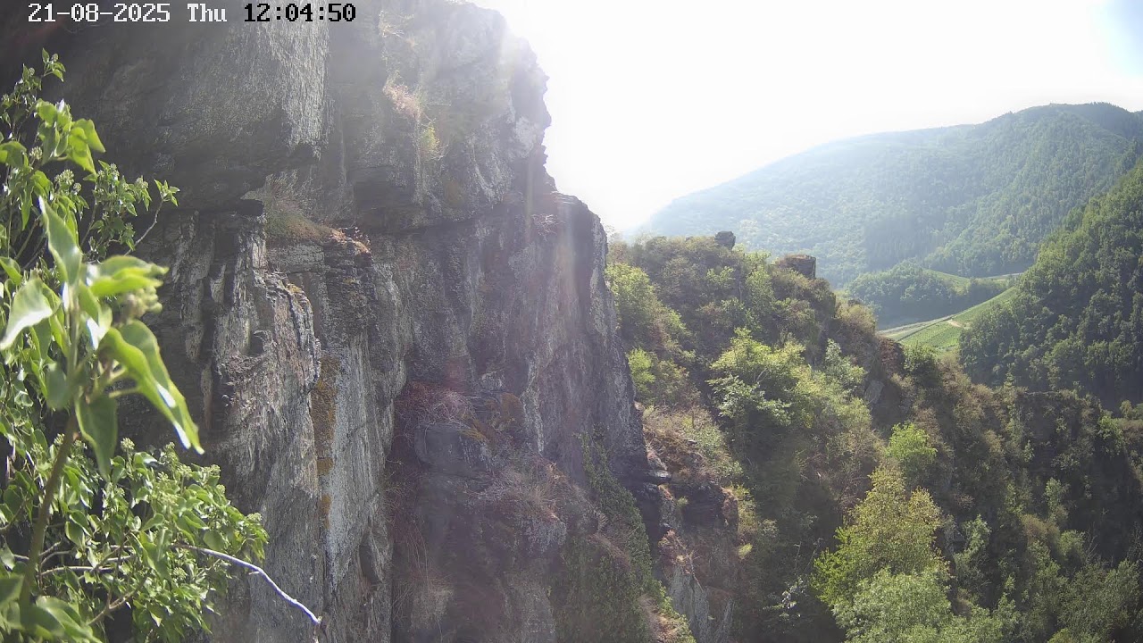 Uhu Webcam 5 (Ahr) – Live-Stream von EGE – Gesellschaft zur Erhaltung der Eulen e.V.
