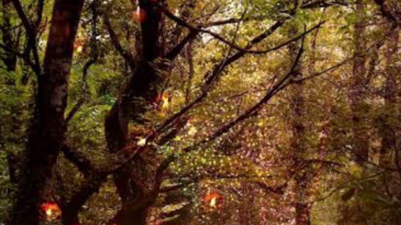 🌷⚡️ 🔥 INTEGRATION TO UNION 🪷💞 twin flame activation | counterpart journey