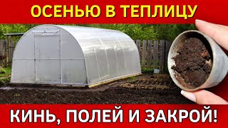 ЗАБУДЬ ПРО ГНИЛЬ, нематод, фузариоз, истощение почвы! Осенью внеси, и почва скажет спасибо весной