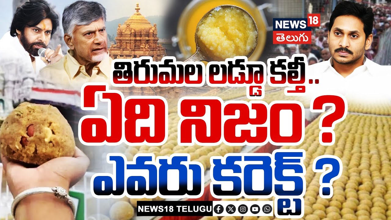 Tirumala Laddu Controversy Explained | తిరుమల లడ్డూ కల్తీ.! ఏది నిజం? | Ghee Scam Allegations | N18V