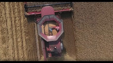 Farm to Table, Wheat to Bread