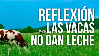 Reflexión Las Vacas No Dan Leche Esta Reflexión Es Perfecta Para Los Hijos