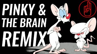 Pinky & The Brain BASS HOUSE REMIX