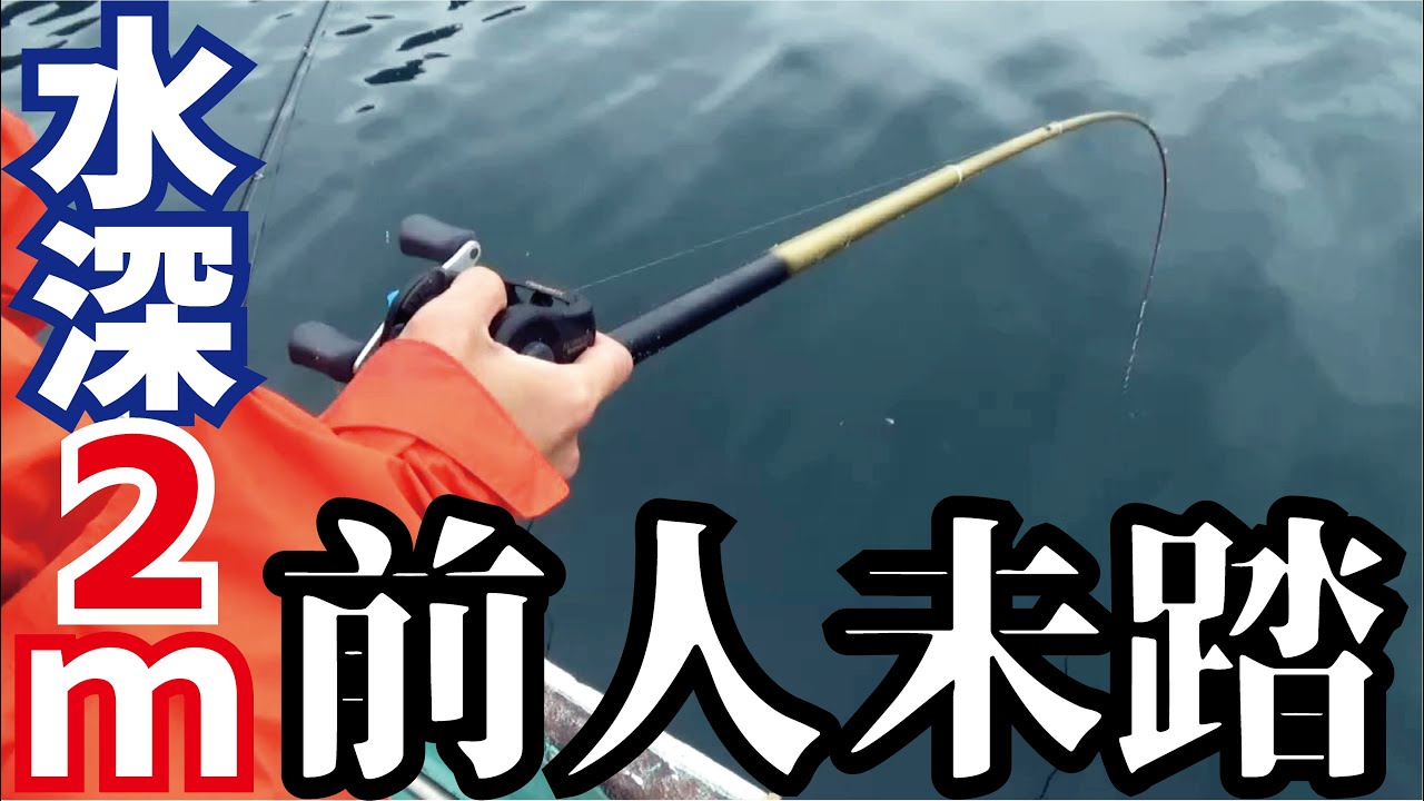 世界釣り大観　海外編 世界釣り大観海外編