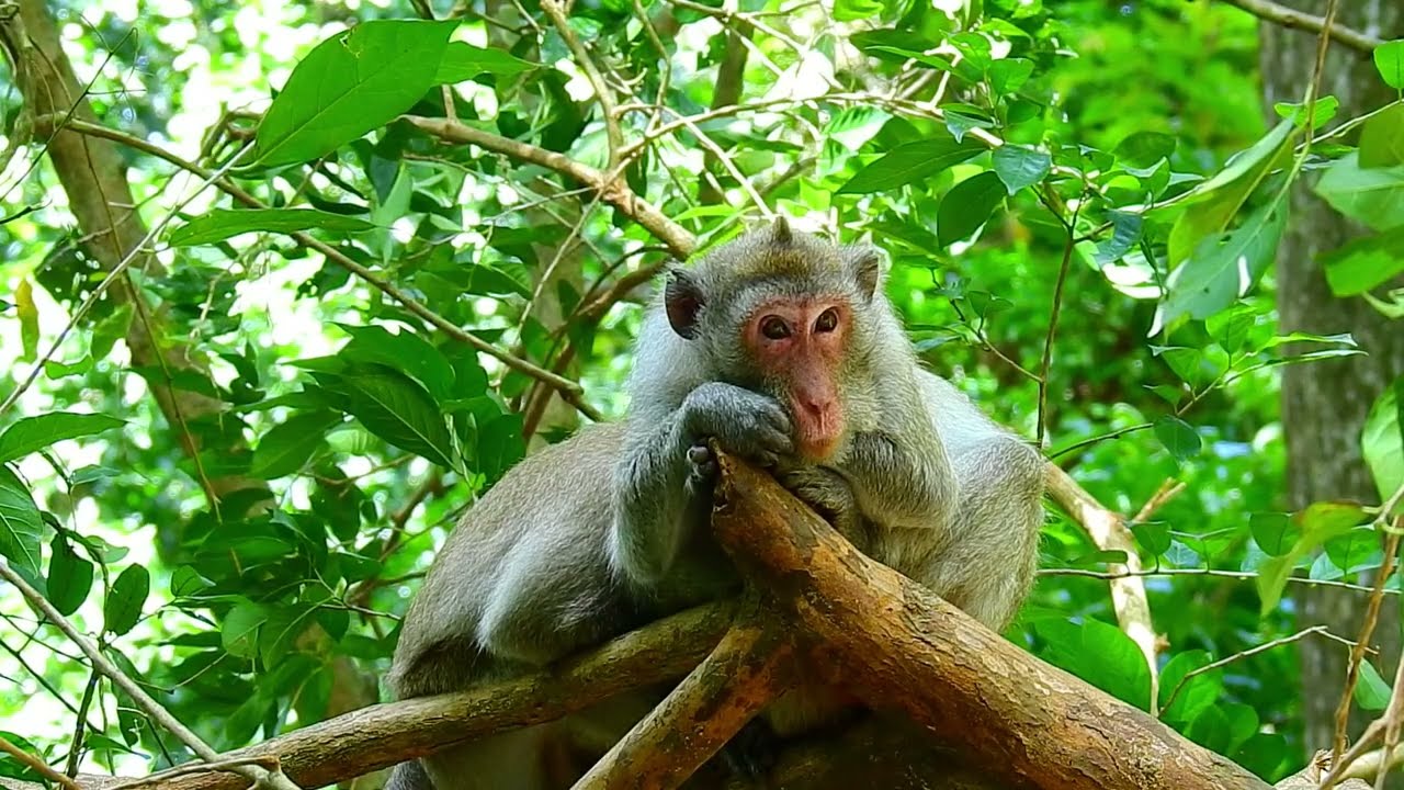 Jane Wished to While Attempting to Get Milk