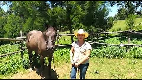 Introducing the bit. Part 1