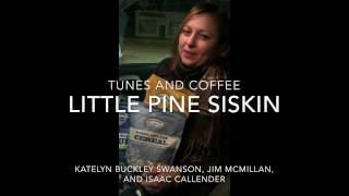 FTC #32 Little Pine Siskin chords