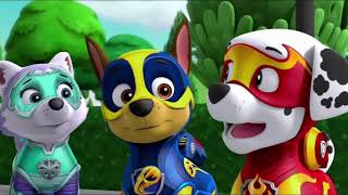 Paw Patrol Tribute Land Of Confusion