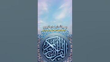 تلاوة خاشعة بصوت جميلة مشاءالله الله #قران_كريم #اكسبلور #القران #القاريء #يارب