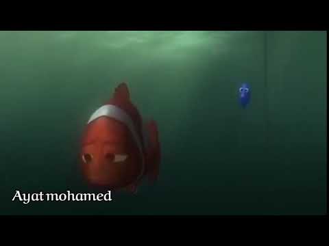 الامان دورى لما ببصلك بحس بآمان 