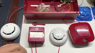 INIM Smartline Panel Connections: Zones (Detectors and Manual Call Points) and Sirens 🚨