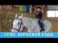 DYI \  Урок верховой езды!