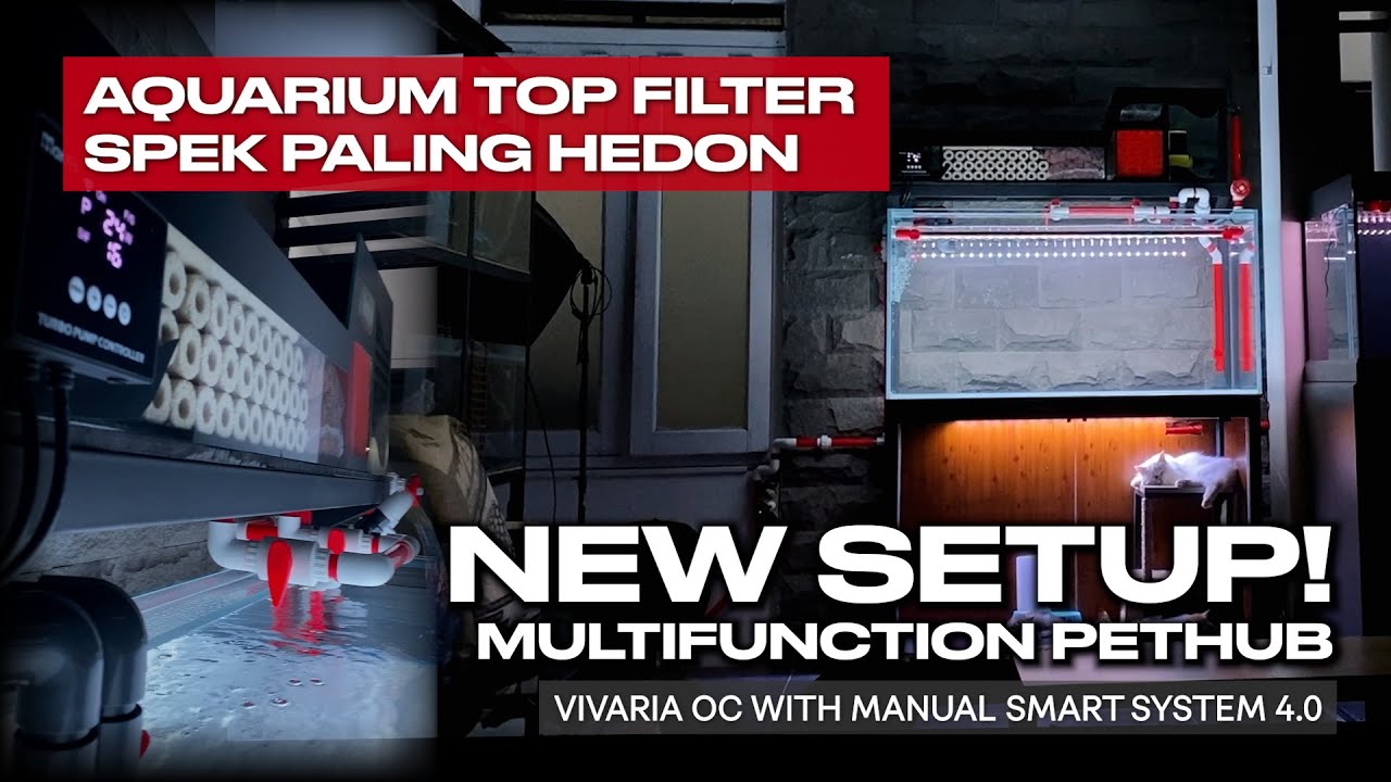 TOP FILTER HEDON! - NEW SET UP 2025 MULTIFUNCTION PETHUB (VIVARIA OC WITH MANUAL SMART SYSTEM 4.0 )