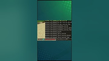 How to get a debug stick in Minecraft #minecraft #java #commands