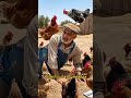 الأغنية الحدث يا خبز النخالة   