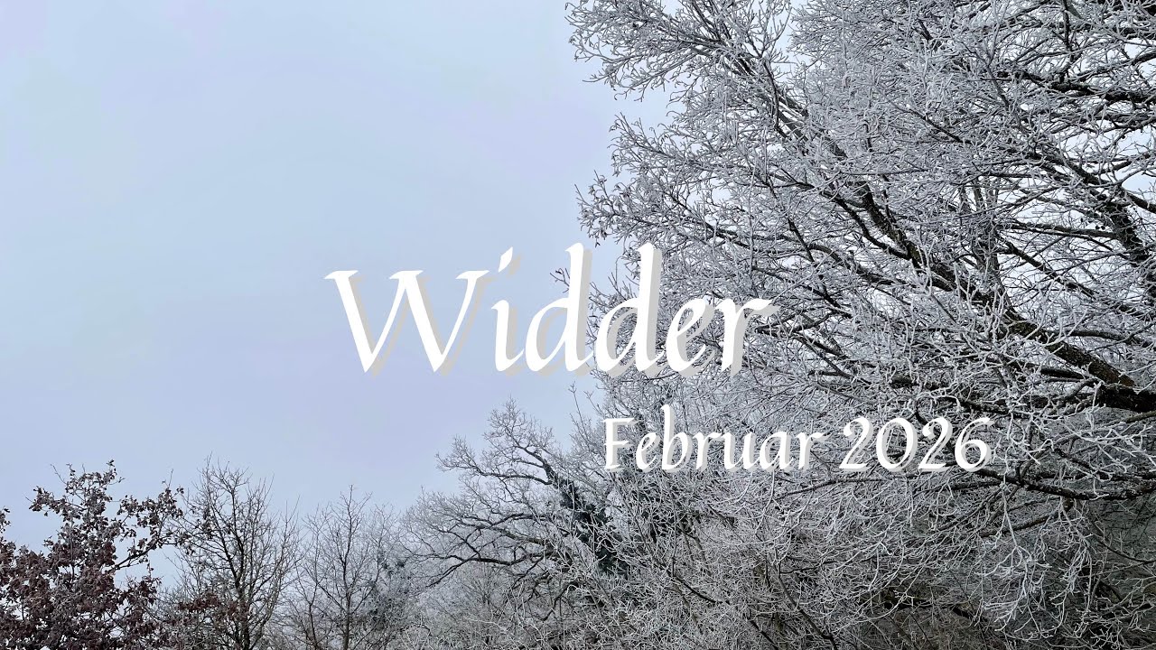 Widder ♈️ Februar 26 • Seelenverbindung ~ Der Versuch, Gefühle unter Kontrolle zu halten
