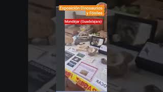 #castillalamancha #dinosaurios #fosiles #guadalajara #madrid #colegio #divulgador #ismaeleusebio