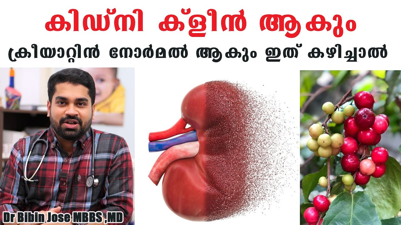 കിഡ്‌നി ക്‌ളീൻ ആകും ക്രീയാറ്റിൻ നോർമൽ ആകും ഇത് കഴിച്ചാൽ /Baiju's Vlogs /Dr Bibin Jose