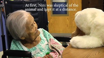 National Robotics Week display features robot therapy for palliative and dementia care