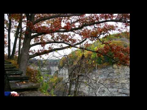 With the Wonder Rich Mullins autumn leaves slideshow