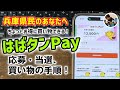 「当選！」はばタンPayの使い方！兵庫県プレミアム付きデジタル券の応募、買い物での支払い手順！