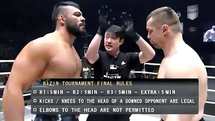 Amir Aliakbari (Iran) vs Mirko CRO COP Filipovic (Croatia) | KNOCKOUT, MMA fight HD, 60 fps