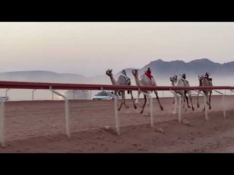 ش١ بكار جذاع معان بسام بن حامد