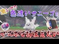 【ポケモン】実は激レアな色違いサニーゴをマスボで捕まえたい!! ガラル色旅 【ゆっくり実況】