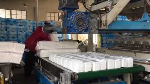 robot arm vacuum forming cutting stacking machine in Nantong Customer factory