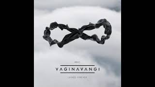 Vagina Vangi- Black Coils