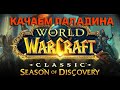 💥Паладин рейд в БФД World Of Warcraft Season Of Discovery (Сезон открытий)💥