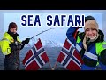 SEA SAFARI | NORWAY | LYNGEN LODGE  - Summit to Sea