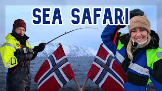 SEA SAFARI | NORWAY | LYNGEN LODGE  - Summit to Sea