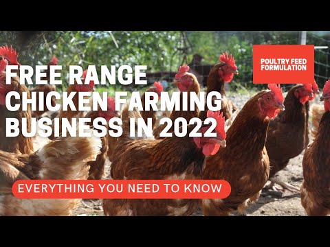 free range chicken farming business plan pdf