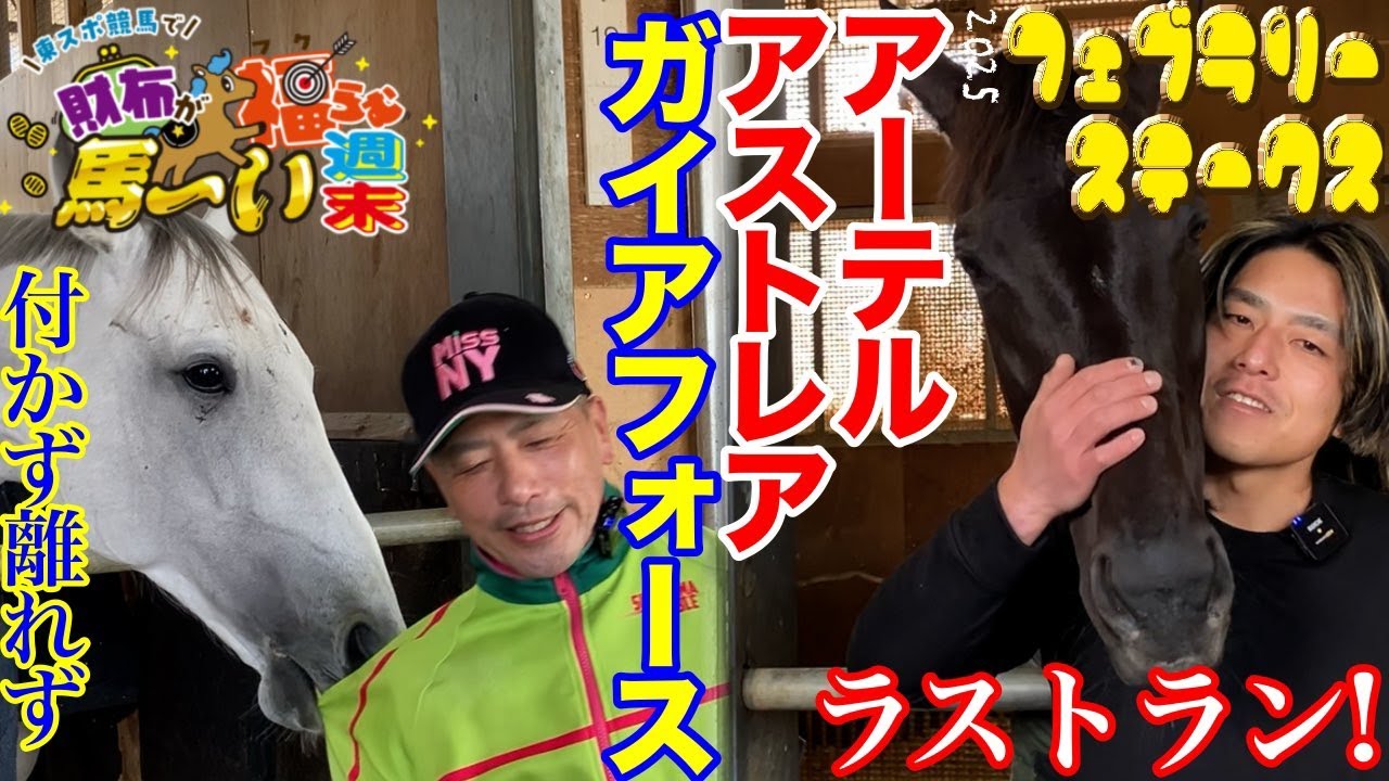【2025フェブラリーS】ガイアフォース/アーテルアストレア陣営を直撃・視聴者プレゼントもあるよ！【東スポ競馬で財布が福らむ馬〜い週末】
