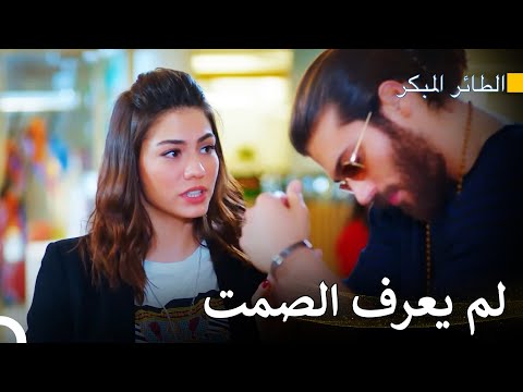 أحب شيء عنده هو الكلام المستمر سلسل الطائر المبكر