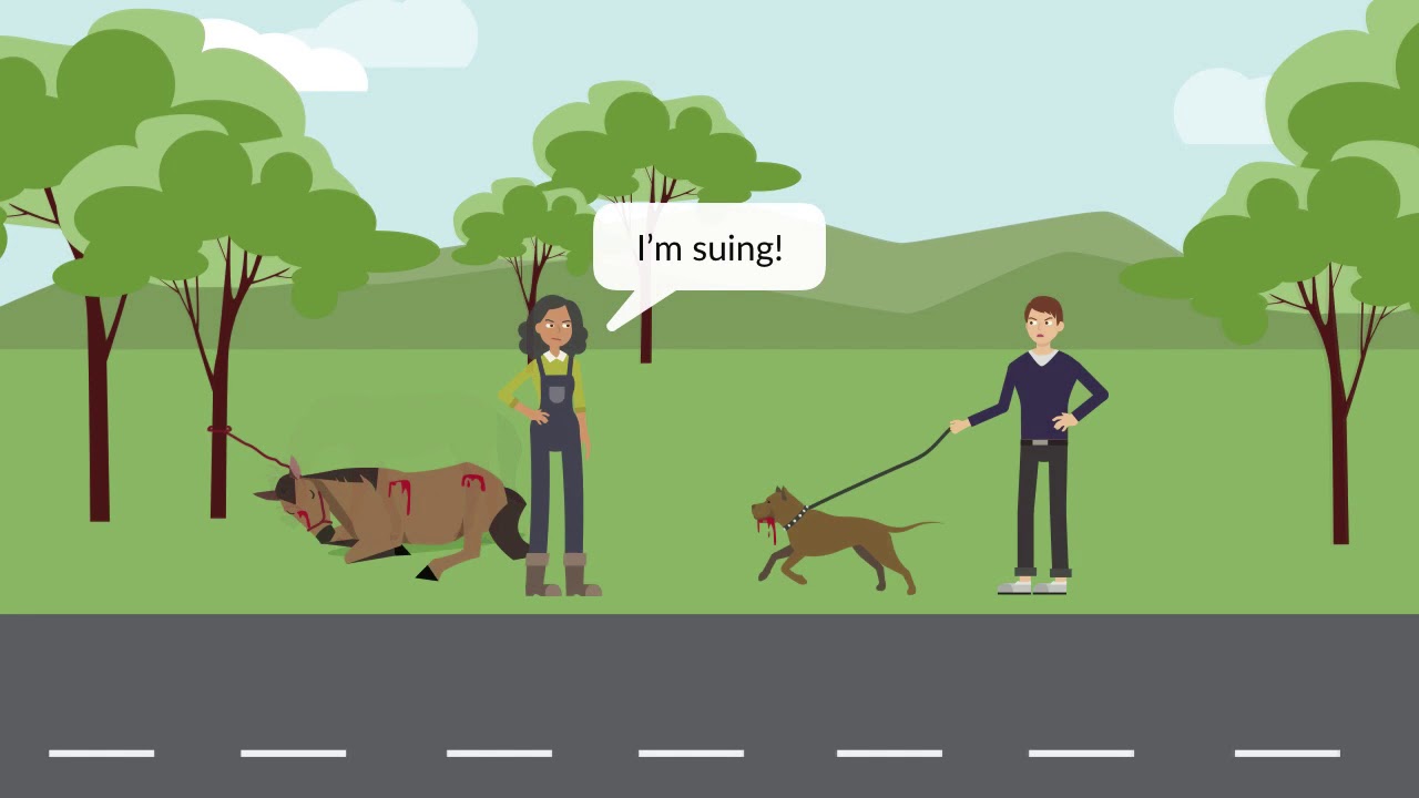 Pass the Bar Exam: Torts - Contributory Negligence and Comparative Fault