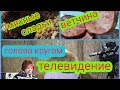 С утра телевидение, ветчина без проблем.